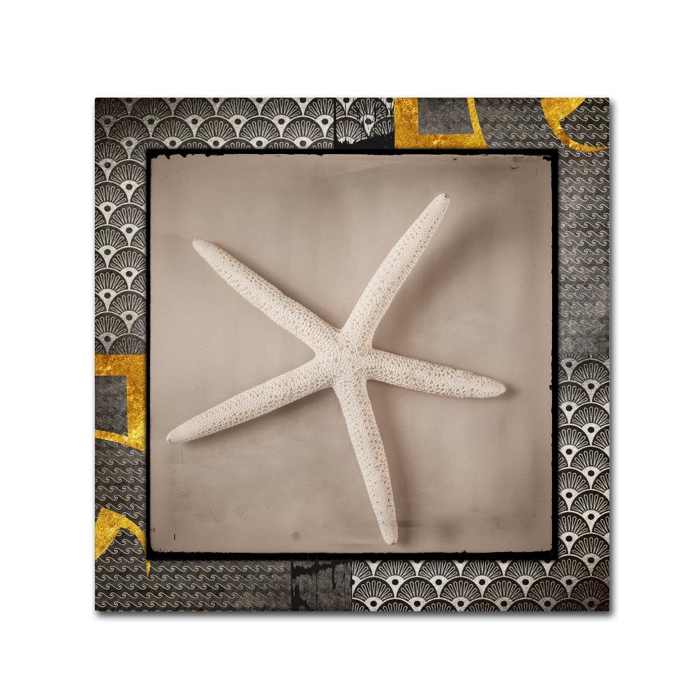 Gold Ornate Frame Sea Scape 6 by LightBoxJournal, 14x14-Inch Canvas Wall Art