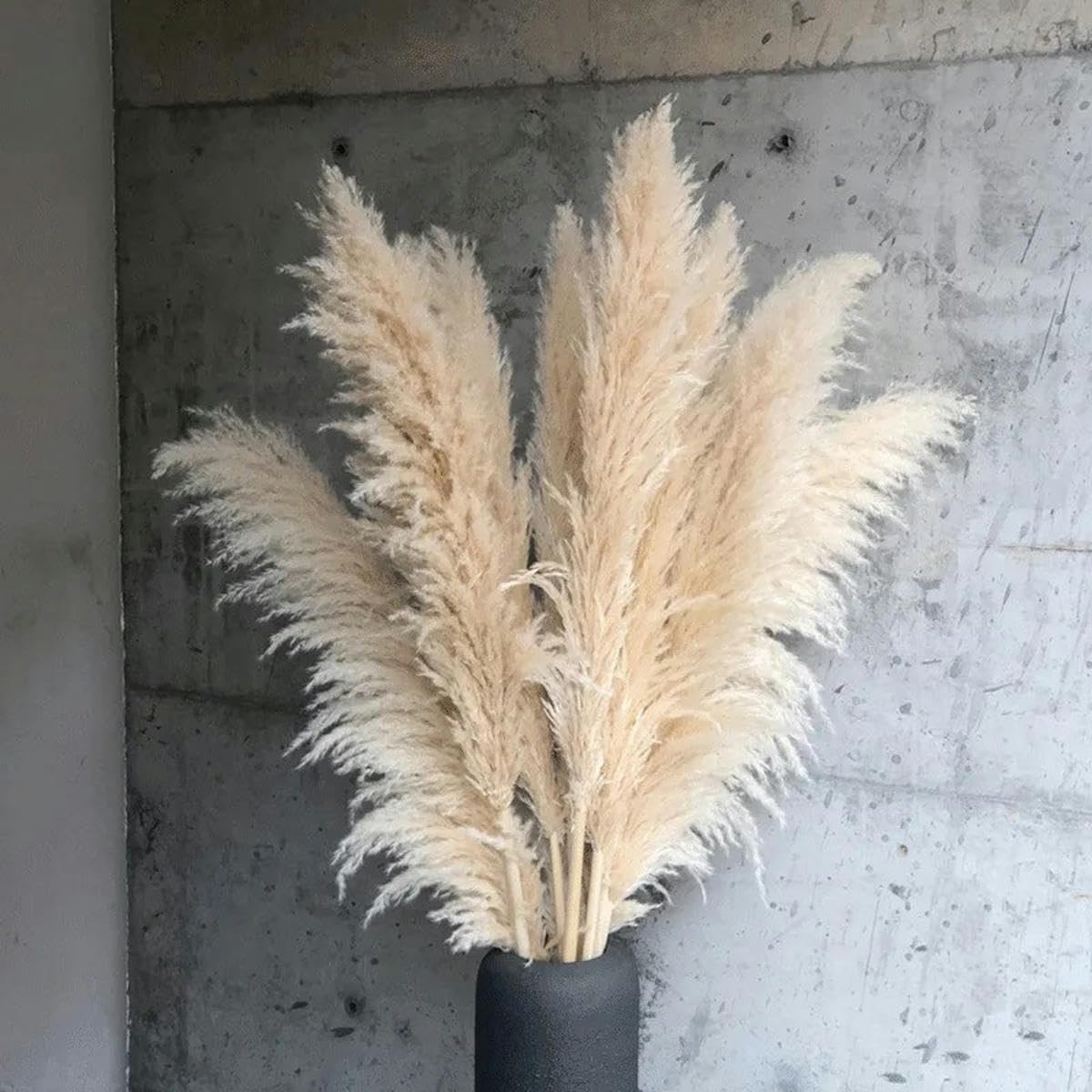 Fleurs séchées herbe duveteuse beige de 110 cm pour arrangement floral haut de gamme