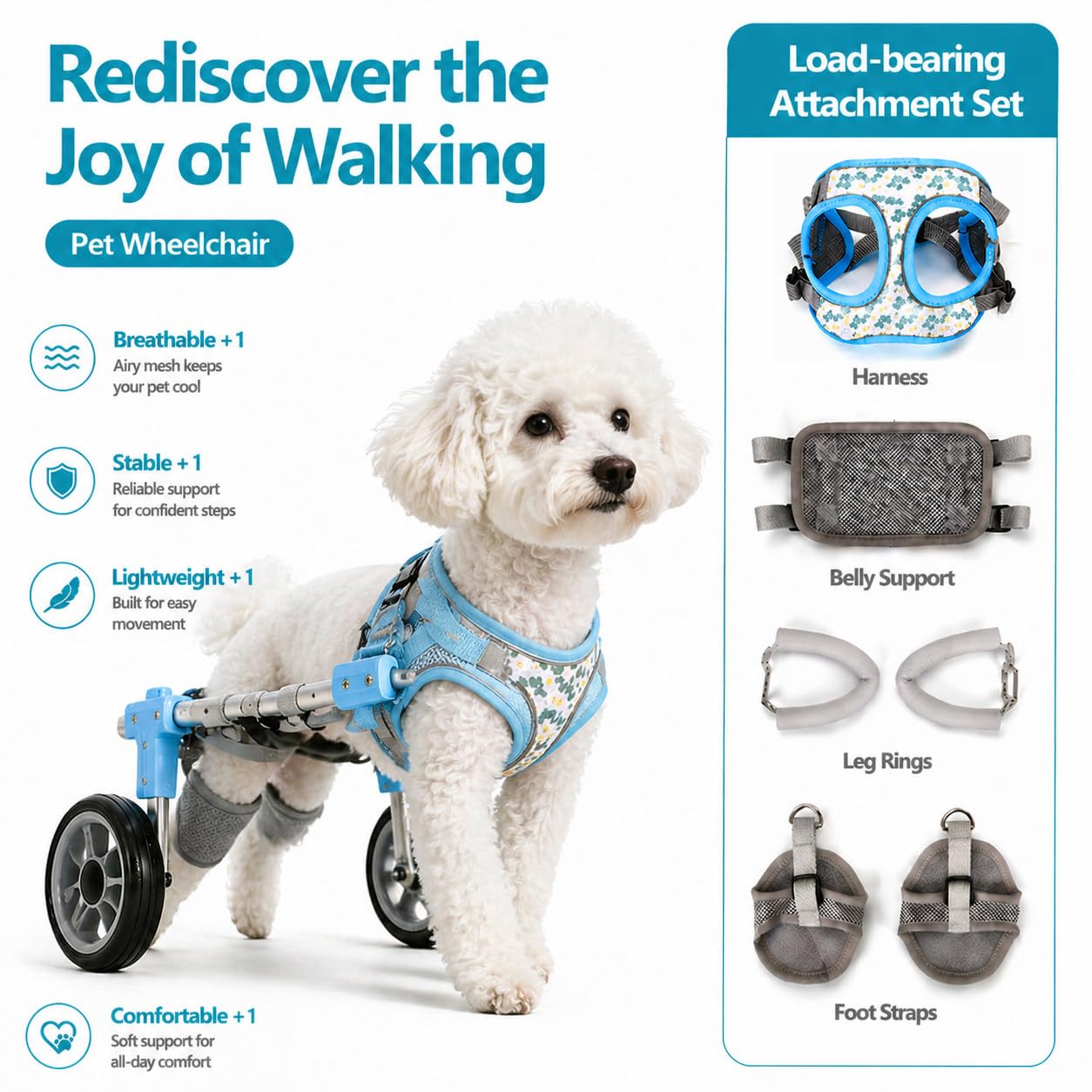 Carrellino per Cani, Supporto Zampe Posteriori, Ausilio Mobilità Regolabile Black-M | Con Supporto per Zampe Posteriori E Addome, Ideale per Cani E Gatti Con Lesioni O Problemi Di Mobilità