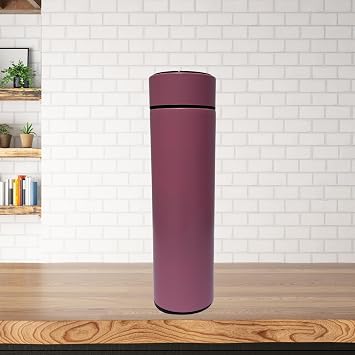 Insulated Water Bottle with temperature Display (White)