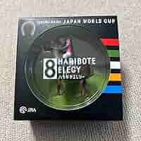 JRAハリボテエレジー Amazon.co.jp: 品！！！ハリボテエレジー JRA JAPAN WORLD CUP