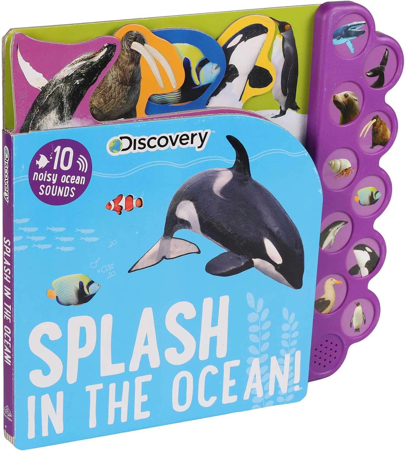 Splash in the Ocean! (Discovery 10 Noisy Ocean Sounds)