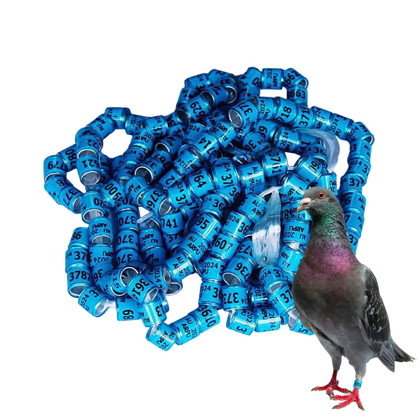 Anelli Di Identificazione Del Piccione, Anelli Di Piccione | 50 Per La | Casetta Sicuri,Forniture Universali Per Piccioni, Bande, Anelli Del Piede ' , Per La Corsa,