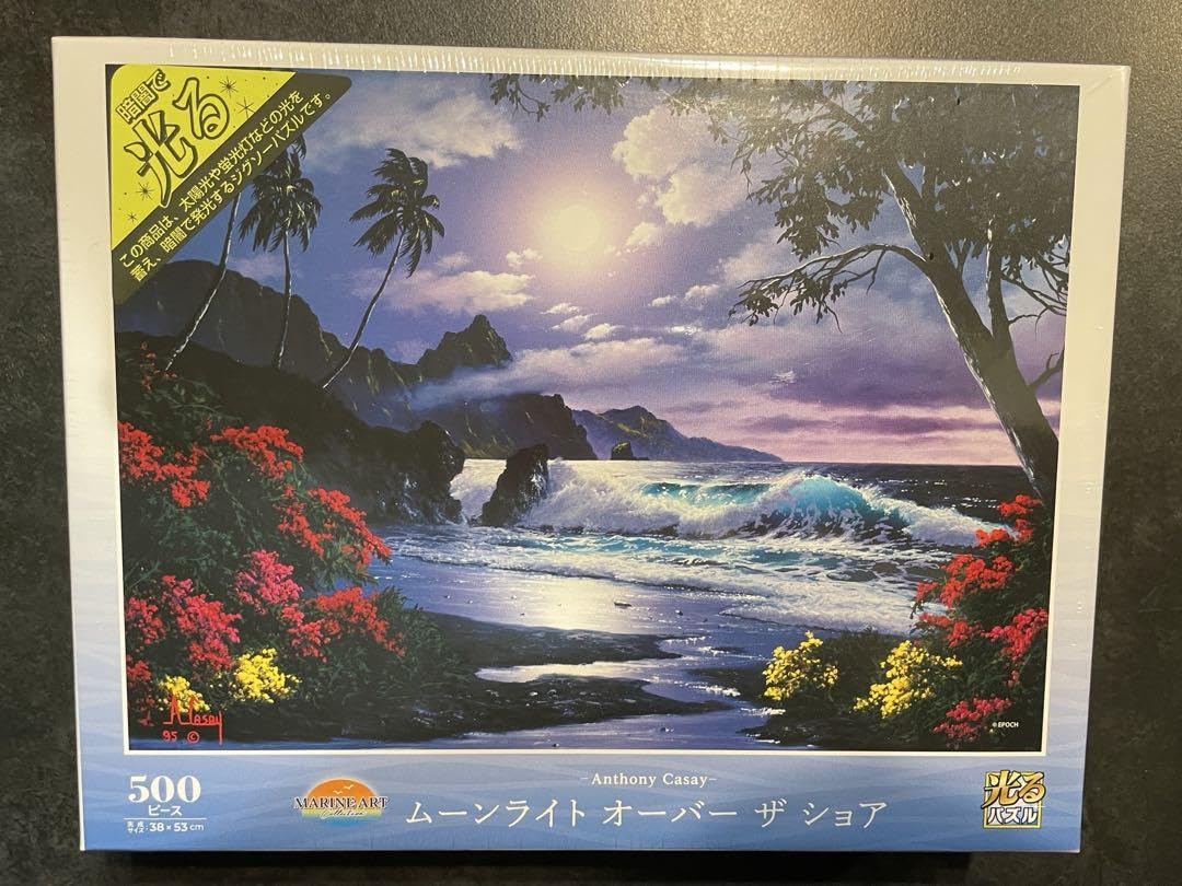 Amazon | ムーンライト オーバー ザ ショア500ピース