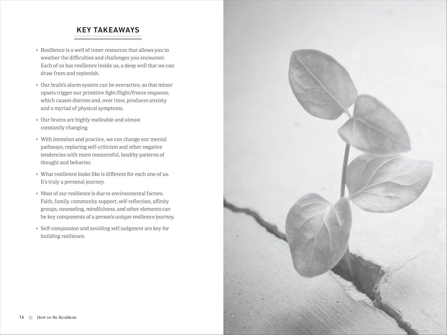 How to Be Resilient: Simple Steps to Embrace a Positive Mindset and Build Inner Strength - Image 4