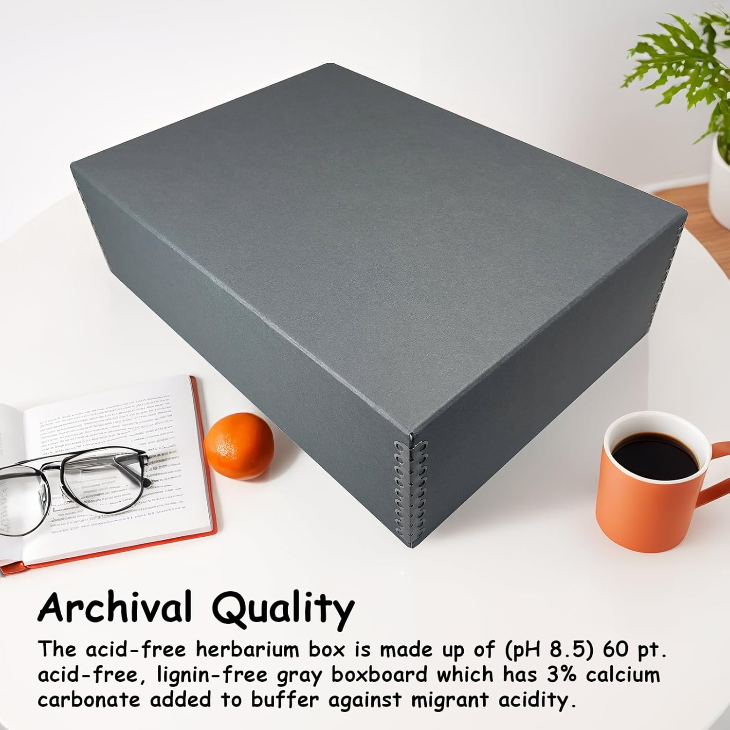 Lineco, Archival Herbarium Boxes, Acid-free Storage Box for Storing Specimen, Genus Folders and Transporting Mounted Specimens, Gray 17x12.25x5 inch