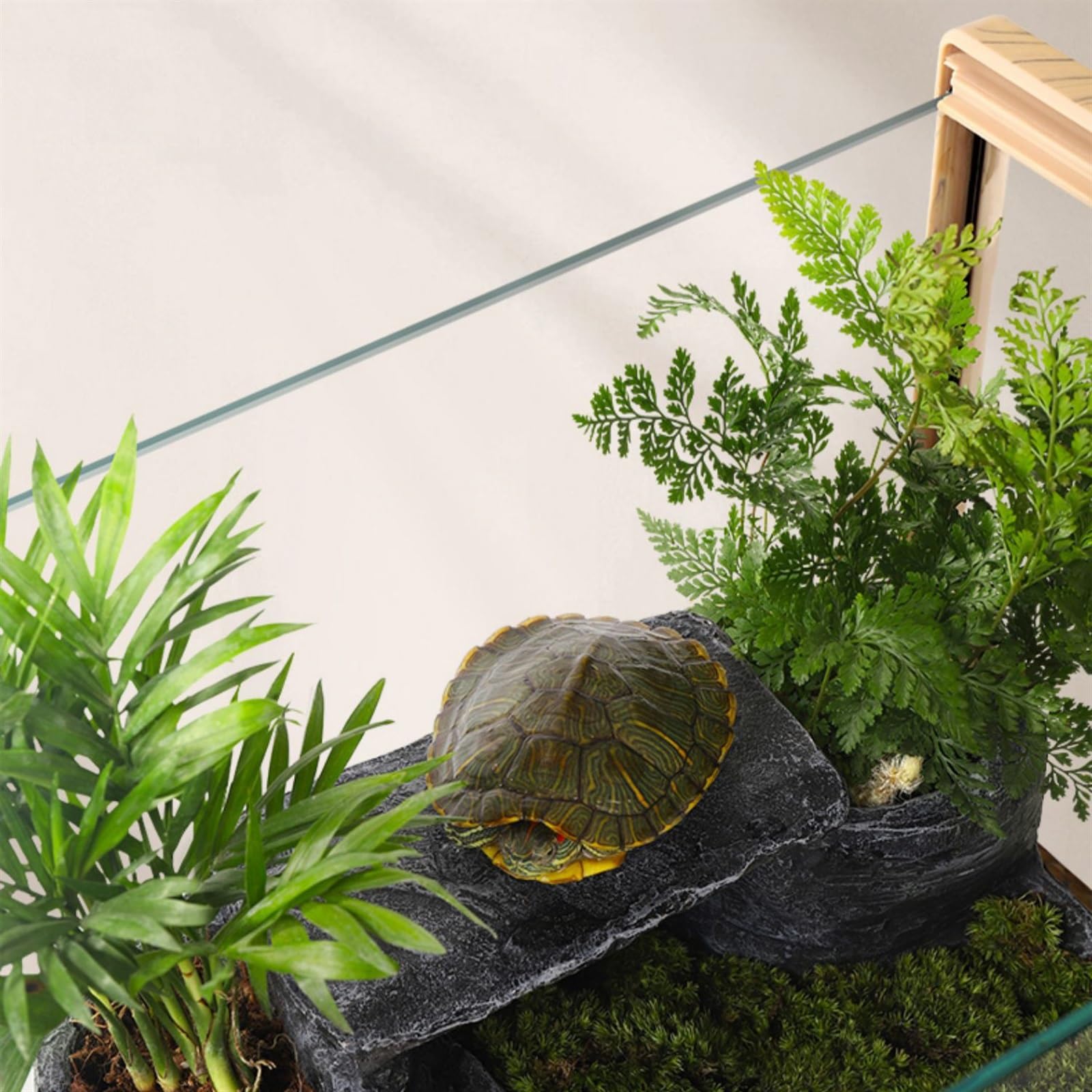 Acuario Pecera con Marco de Grano de Madera, Caja de alimentación de Vidrio Rectangular for pecera, Acuario Transparente Grande Especial ecológico, Tanque de Tortugas Peces Acuario(Pequeño)