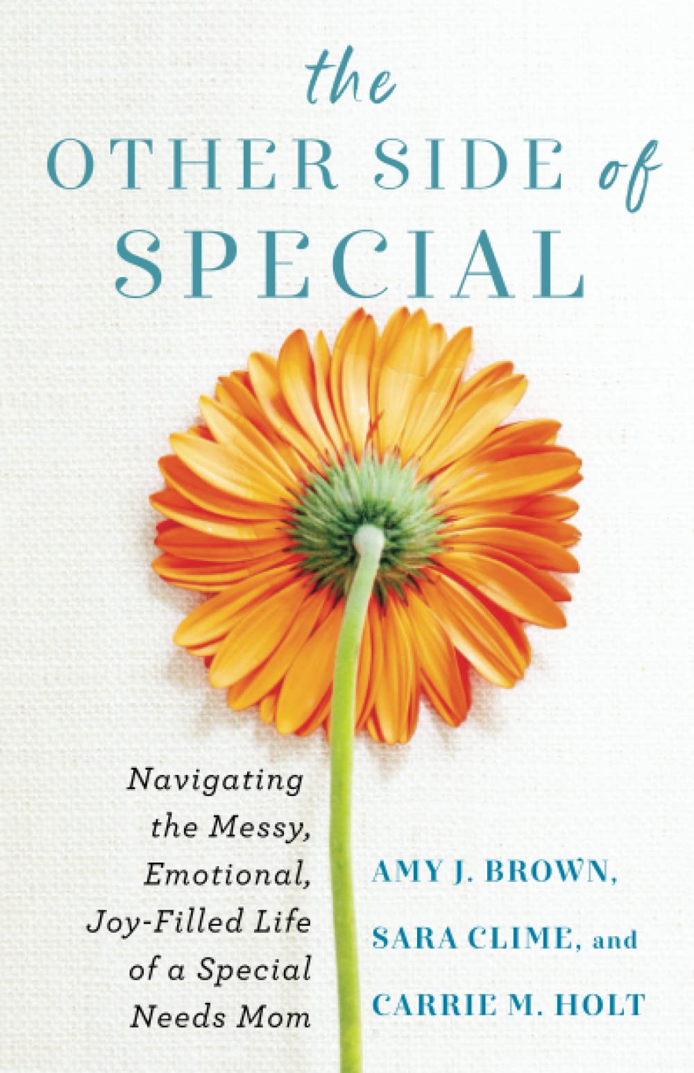 The Other Side of Special: Navigating the Messy, Emotional, Joy-Filled Life of a Special Needs Mom