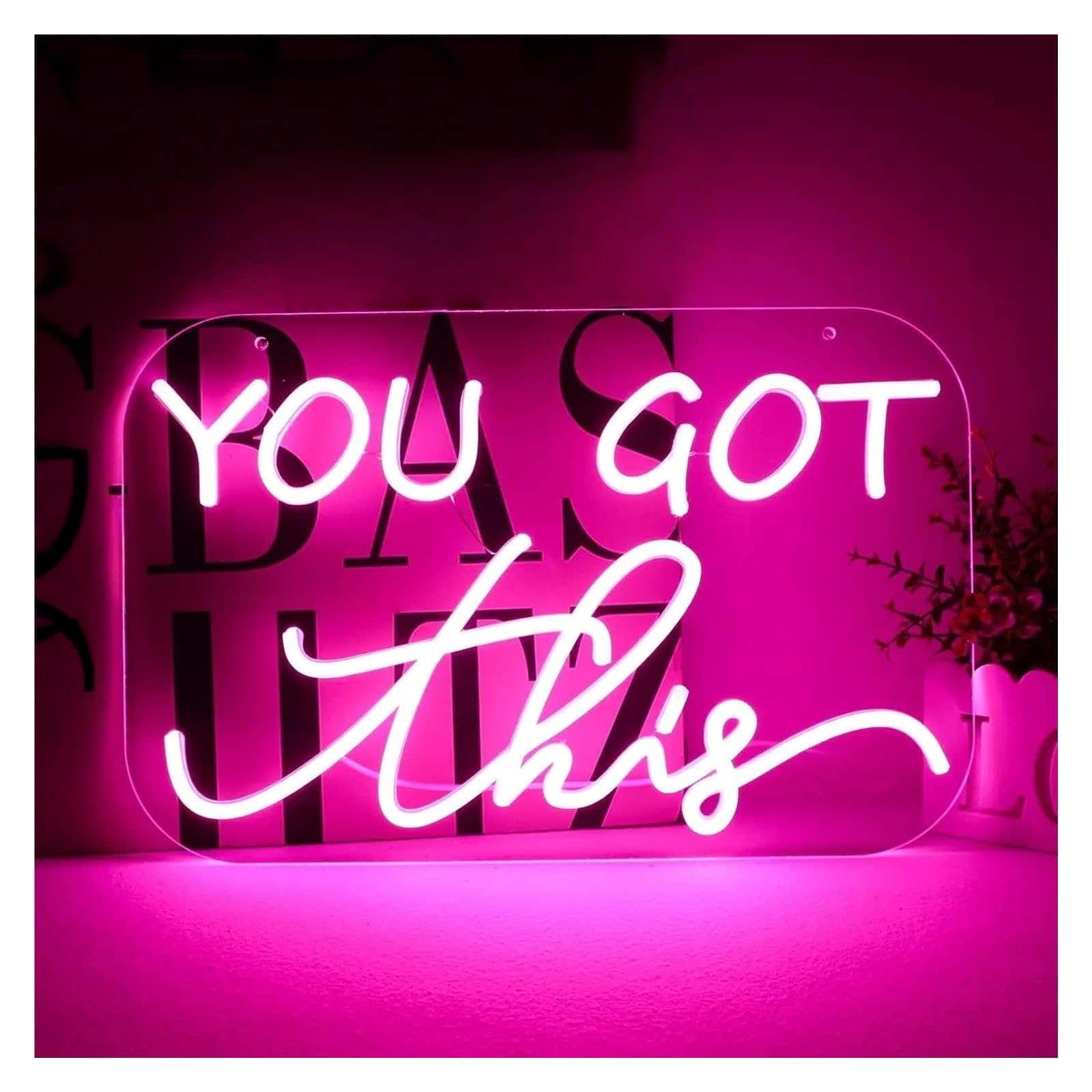 XENITE Hanging Art Neon Signs You Got This Neon Sign LED Light Dimmable USB Powered for Gym Party Bar Gaming Room Office Bedroom Decor 16.14inx10.43in