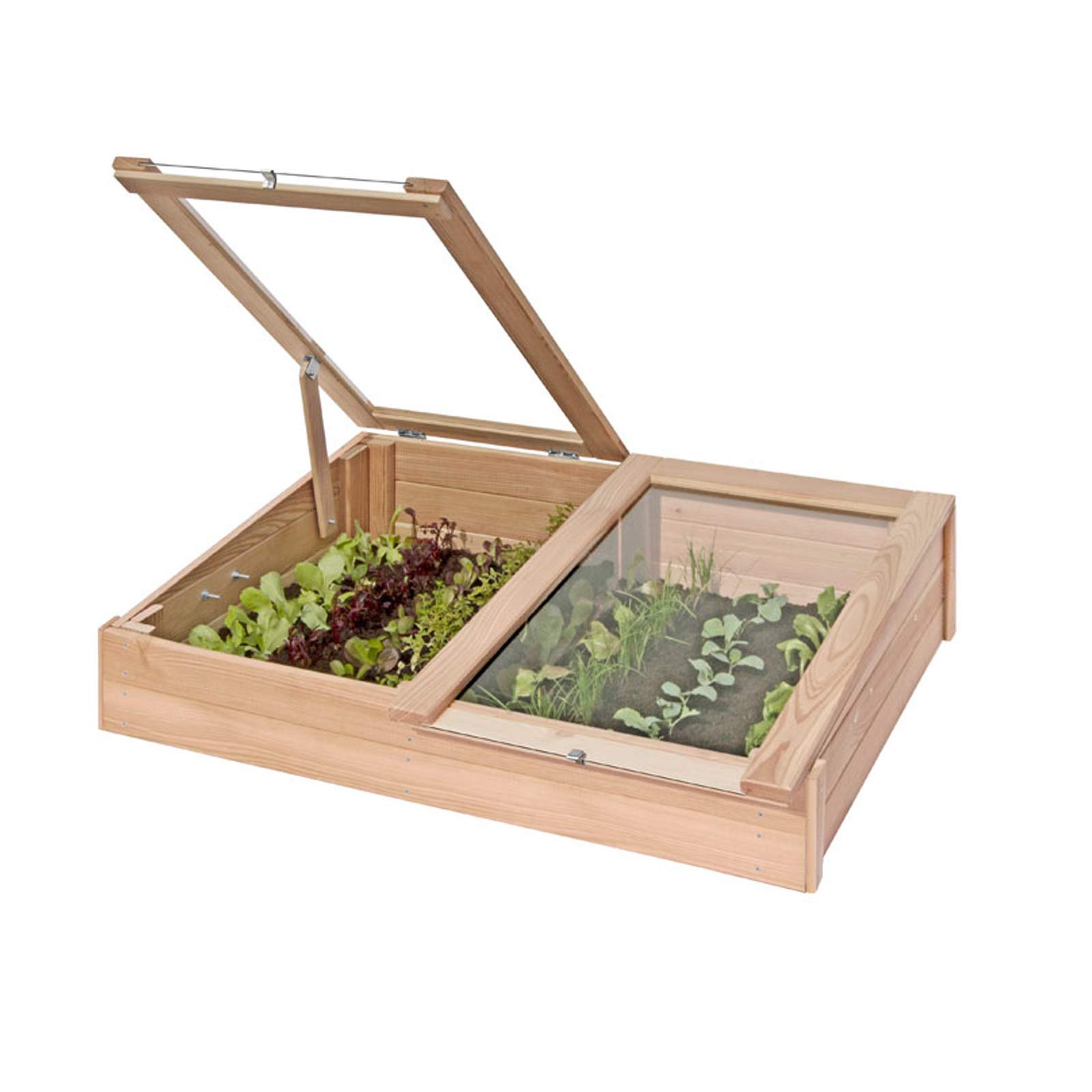 Semillero, cajonera para cultivo de madera de alerce, mini invernadero (119 x 80 x 30 cm de Gartenpirat®