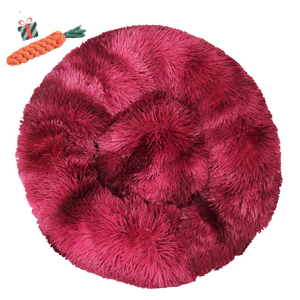 Coussin chat anxieux : panier donut lavable contre le stress animal
