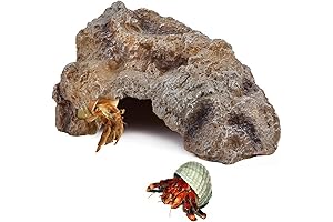 Large Rock Hideaway: Ideal Abode for Hermit Crabs