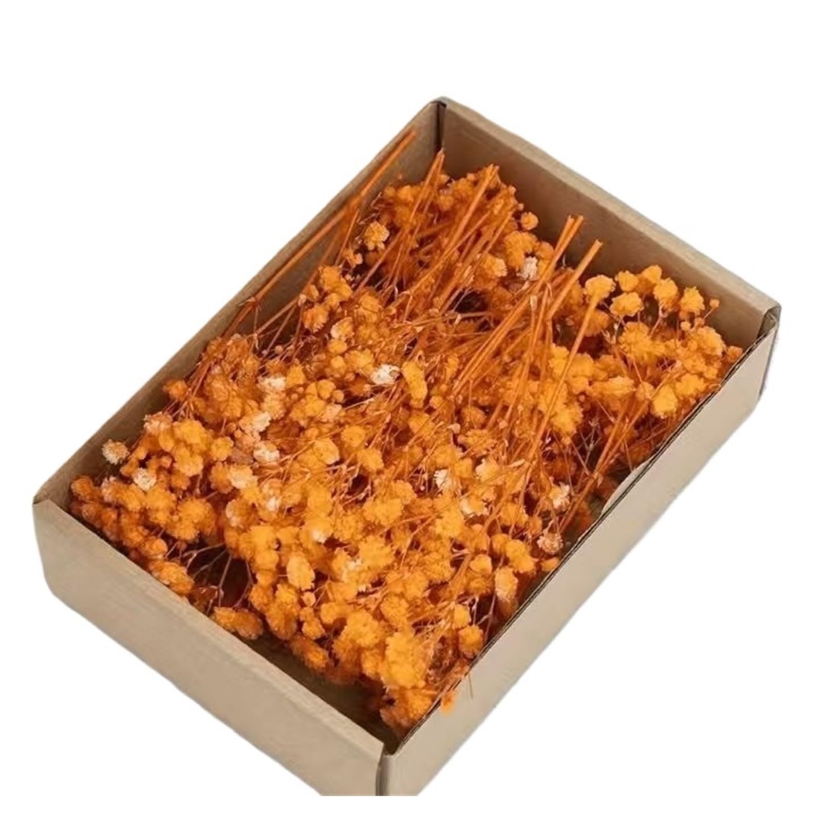 WJIAYAO dried gypsophila flowers 50Pcs Mini White Dried Baby's Breath Flowers Bouquet Small Bunch Gypsophila Bulk DIY Crafts Invitations Candle Making Home Decor(Orange)