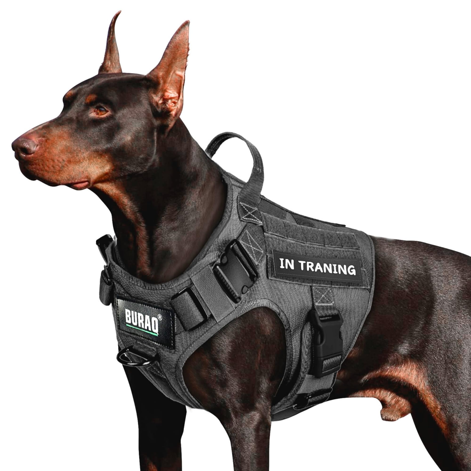 See full amazon price history chart for Buraq Tactical Dog Harness No-Pull Heavy Duty Pet Harness Adjustable with Handle Easy Control, Tactical Vest Harness for Walking Training Hiking (M, Black) Buraq Tactical Dog Harness No-Pull Heavy Duty Pet Harness Adjustable with Handle Easy Control, Tactical Vest Harness for Walking Training Hiking (M, Black) (B0CYH795C9) Amazon Price History, Amazon Price Tracker
