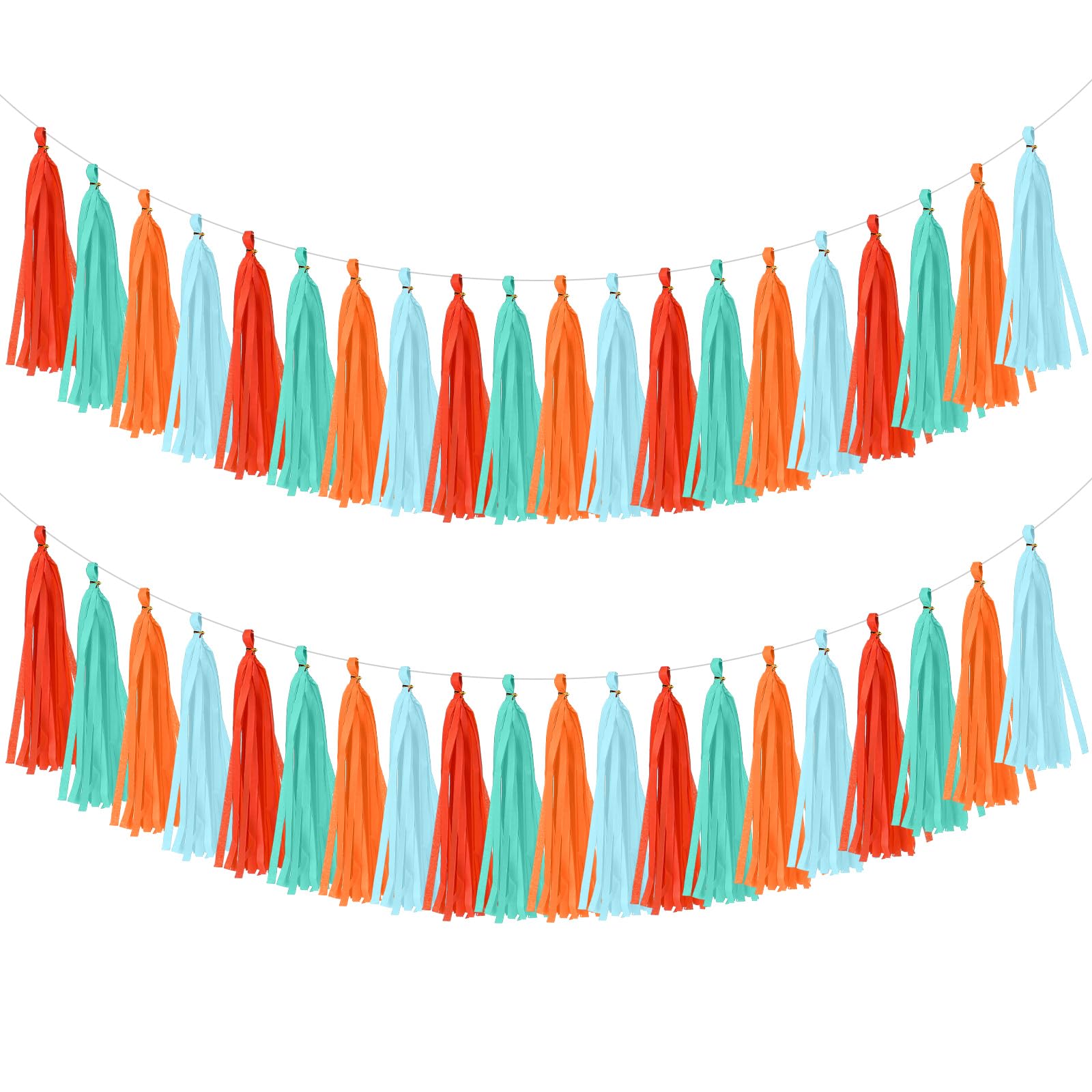 Photo 1 of Moukeren Tissue Paper Tassel Garland Banner Kit