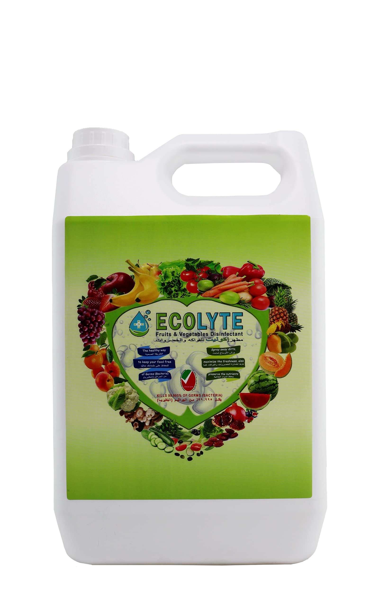 Buy Ecolyte Disinfectant Spray and Food Spray and Food Sanitizer (5