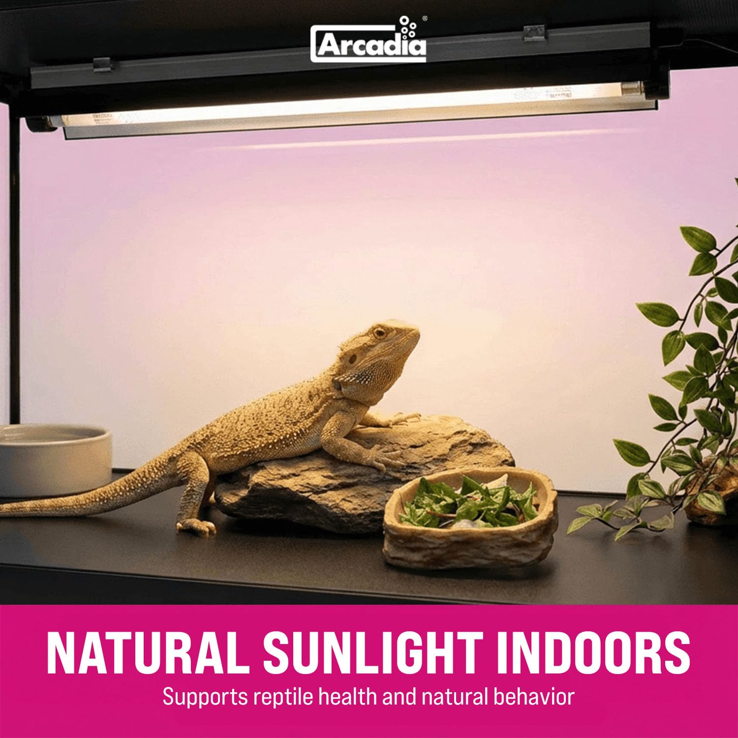 Amazon.com : Arcadia T5 UVB Reptile Light Fixture Kit 36