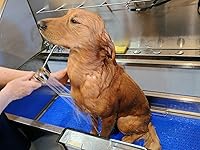 Review Image by Dave Dave