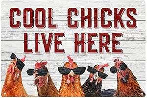 Funny Chicken Coop Signs for Coop Outdoor Decoration