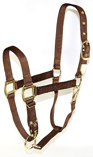 Miniatura 1 de Hamilton Halter de nailon de 1 pulgada con barbilla ajustable, color marrón, tamaño promedio