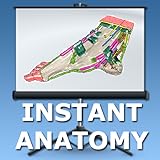 Instant Anatomy