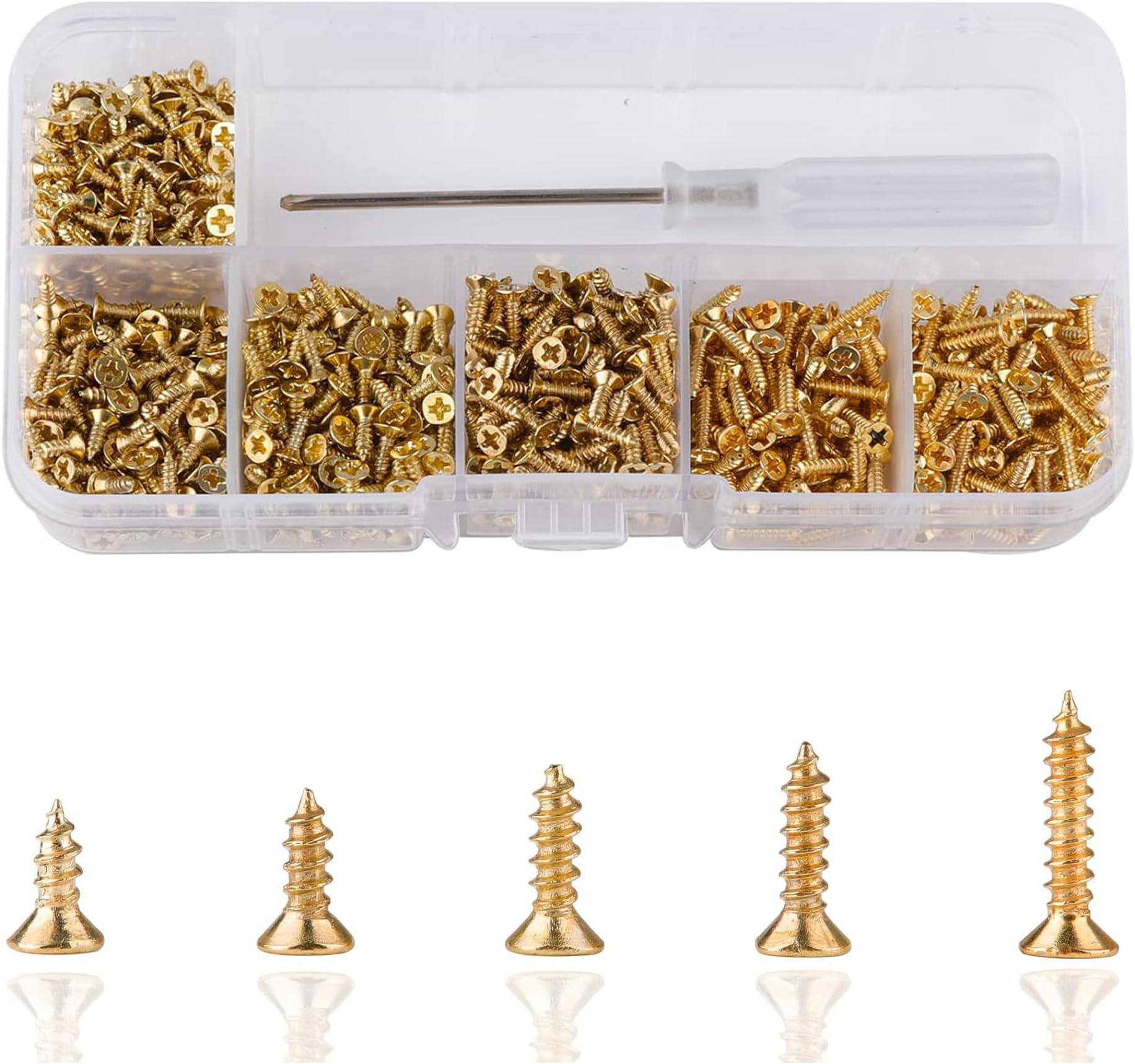 1000 Pcs M2 Small Hinge Wood Screws 5/6/7/8/10 mm Tiny Flat Head Cross Small Brass Screws with Screwdriver for DIY Hinge Dollhouse Drawer Accessories(Golden)