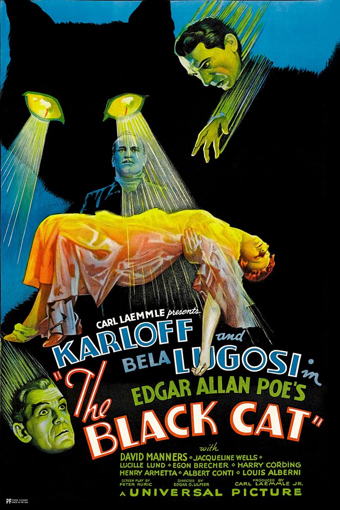 Amazon.com: The Black Cat Vintage Horror Movie Posters Boris