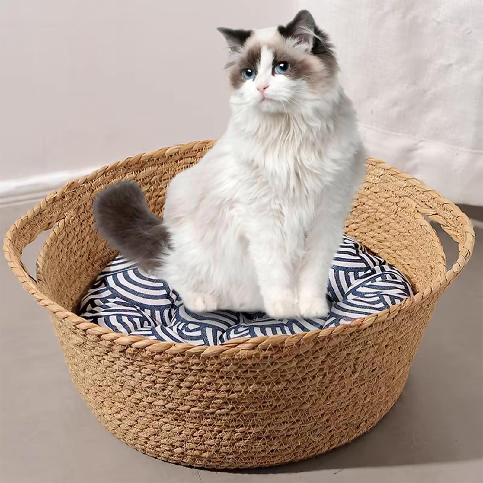 Handgefertigtes gewebtes Katzenbett mit abnehmbarem Kissen, Rattankorb für den Innenbereich, für Katzen, Kätzchen, kleine Haustiere