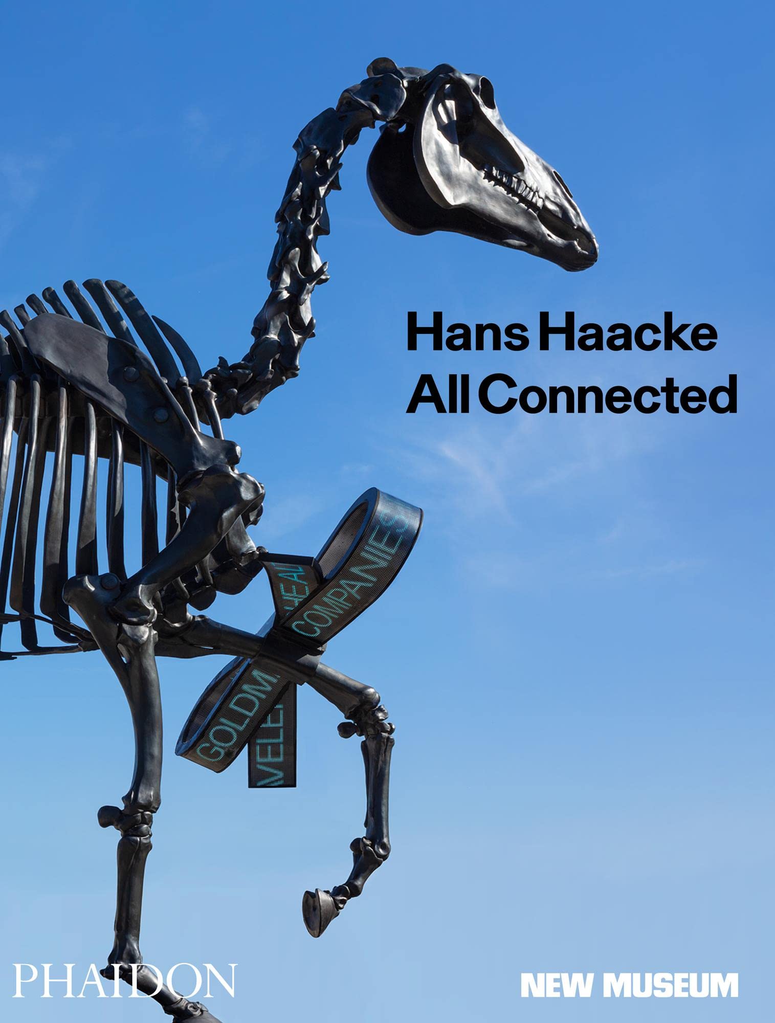 Hans Haacke HARDBACK 9780714879765