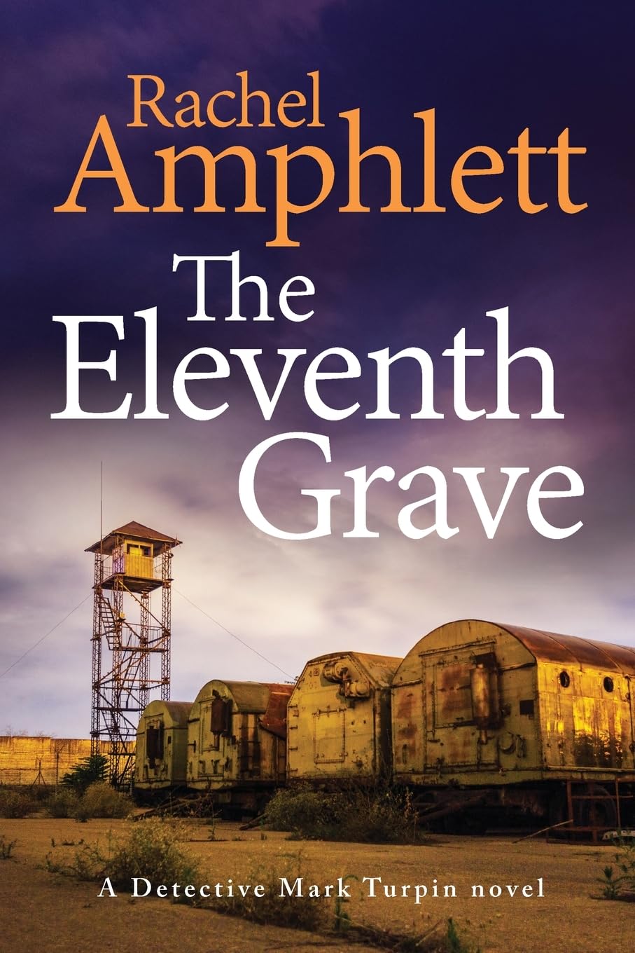 The Eleventh Grave: A Detective Mark Turpin crime thriller: 6