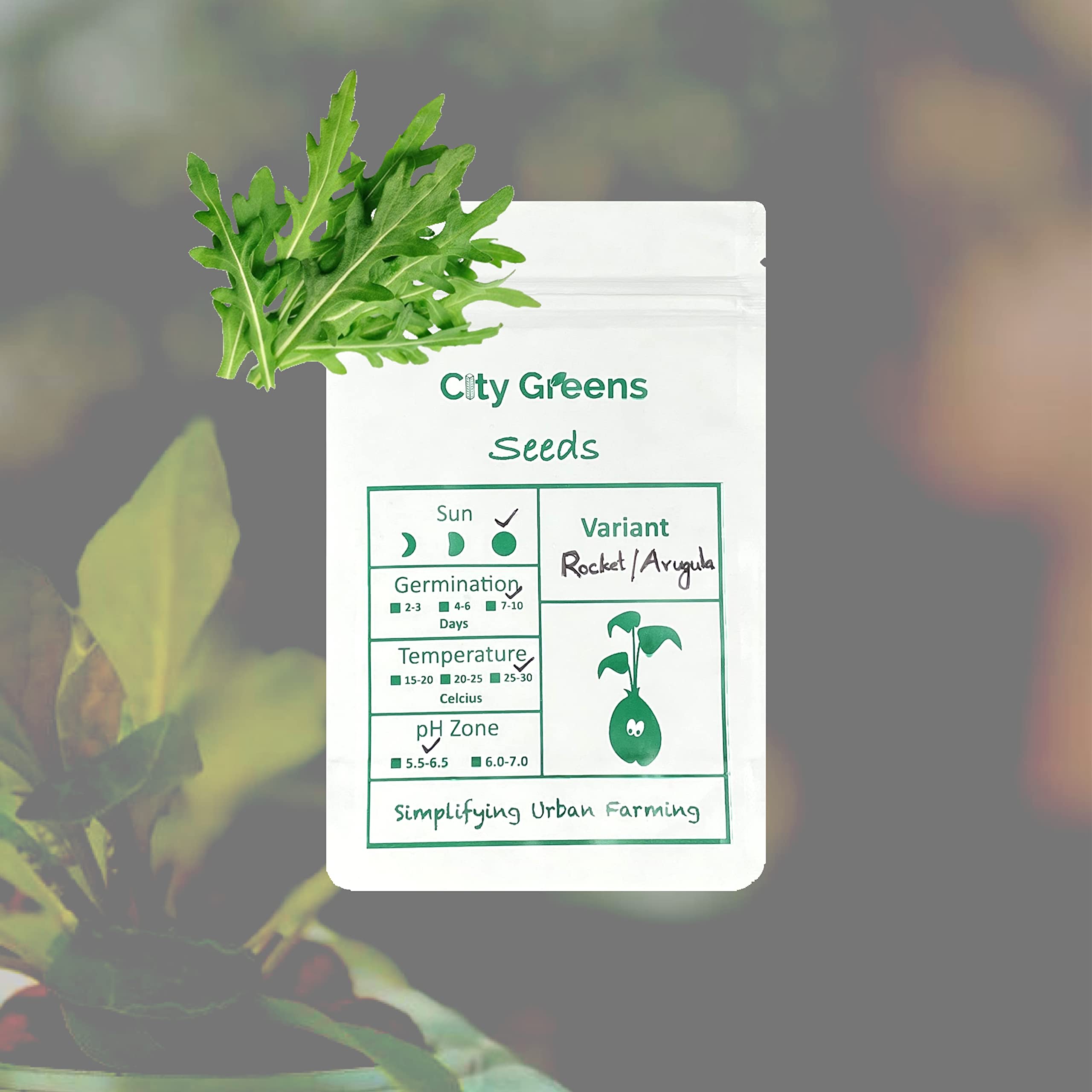 City Greens Exotic Vegetables Seeds | Arugula (Rocket) | Imported Vegetable Plant Seeds for Home Gardening - Total 100 Seeds. (B08XK2R8N9) Amazon Price History, Amazon Price Tracker