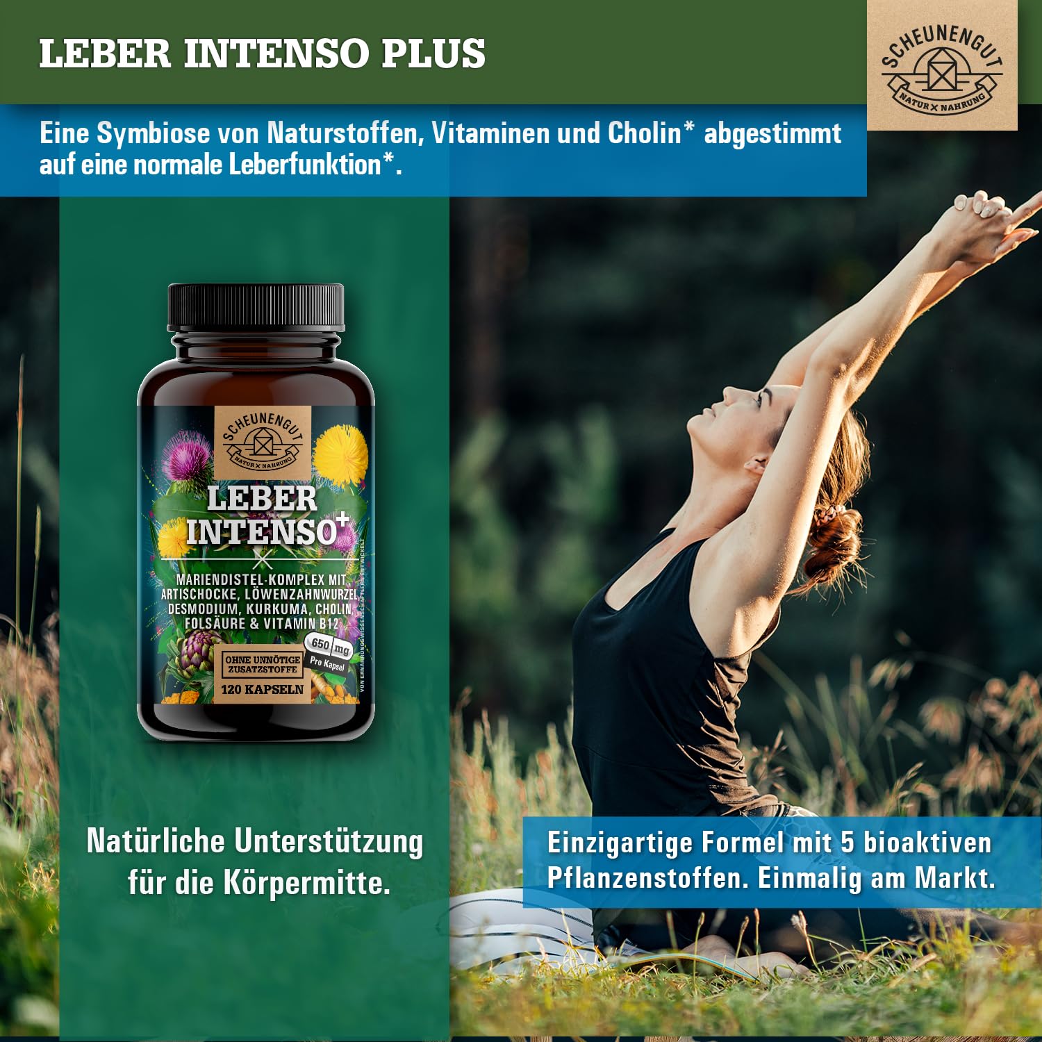 LEBER INTENSO®+ Leber Kapseln Hochdosiert -WICHTIG: Laborgeprüft mit Cholin, Mariendistel, Artischocke, Löwenzahn,Desmodium +80% Silymarin +5% Cynarin 120Stk DE SCHEUNENGUT®