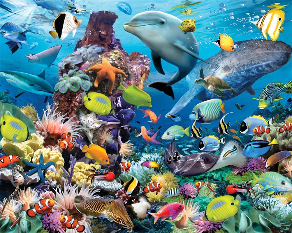Meecaa Dolphin Paint By Numbers Xxxx Kit For Adults Beginner Diy Oil Painting 16X20 Inch (, No Frame)