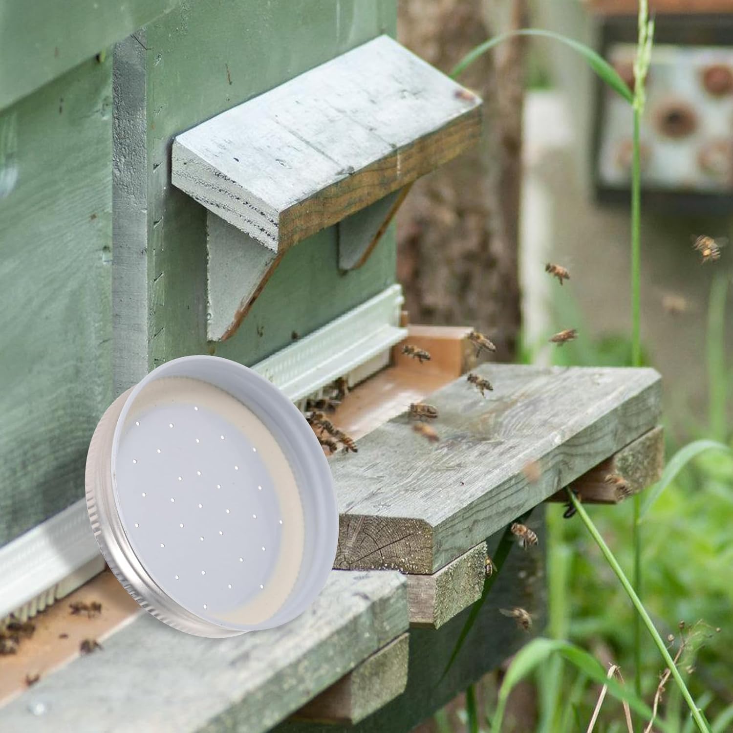 Bee Entrance Feeders Beehive Feeder, Perforated Metal Mason Jar Lids Entrance Feeder Beehive Waterer Honey Bee Canning Feeder Beekeeper Tool Bee Drinking Beekeeping Equipment 4pcs