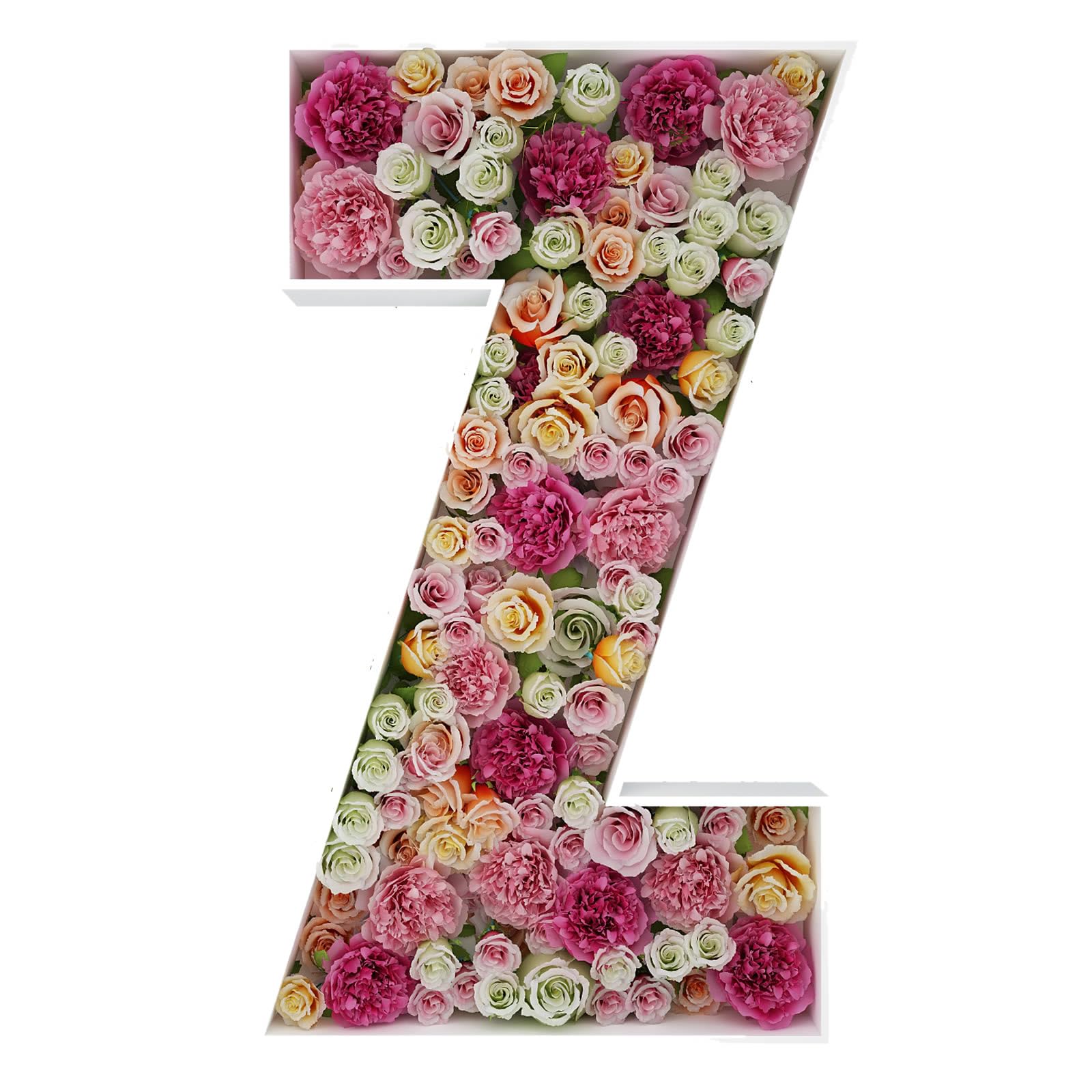 2FT DIY Mosaic Balloon Letter Z Frame, Fillable Party Backdrop Decor
