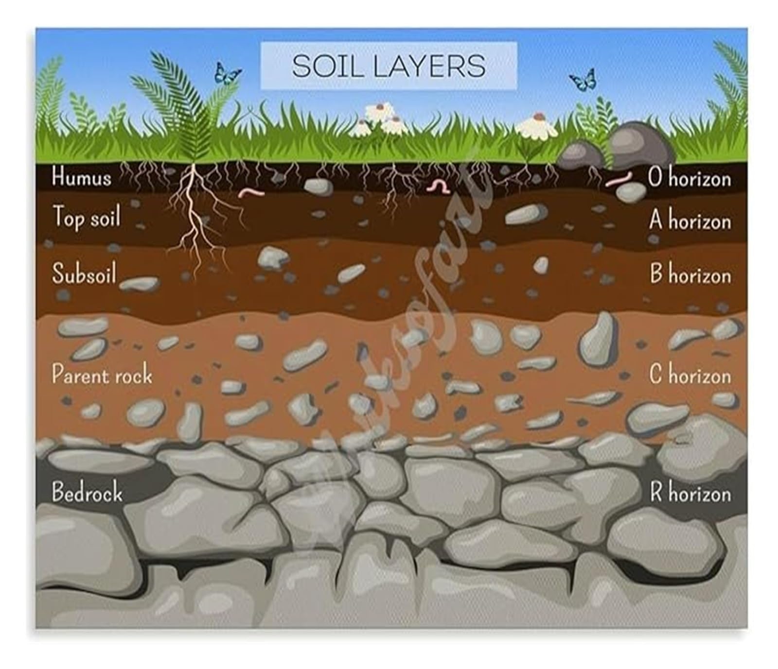 FOPURE Layers of the Earth Crust Poster Soil Profile Diagram Science Wall-Art Gift for Geology Lovers Study Room(Framed,12x18inch(30x45cm))