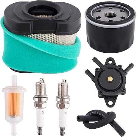 Briggs and Stratton Tune Up Kit