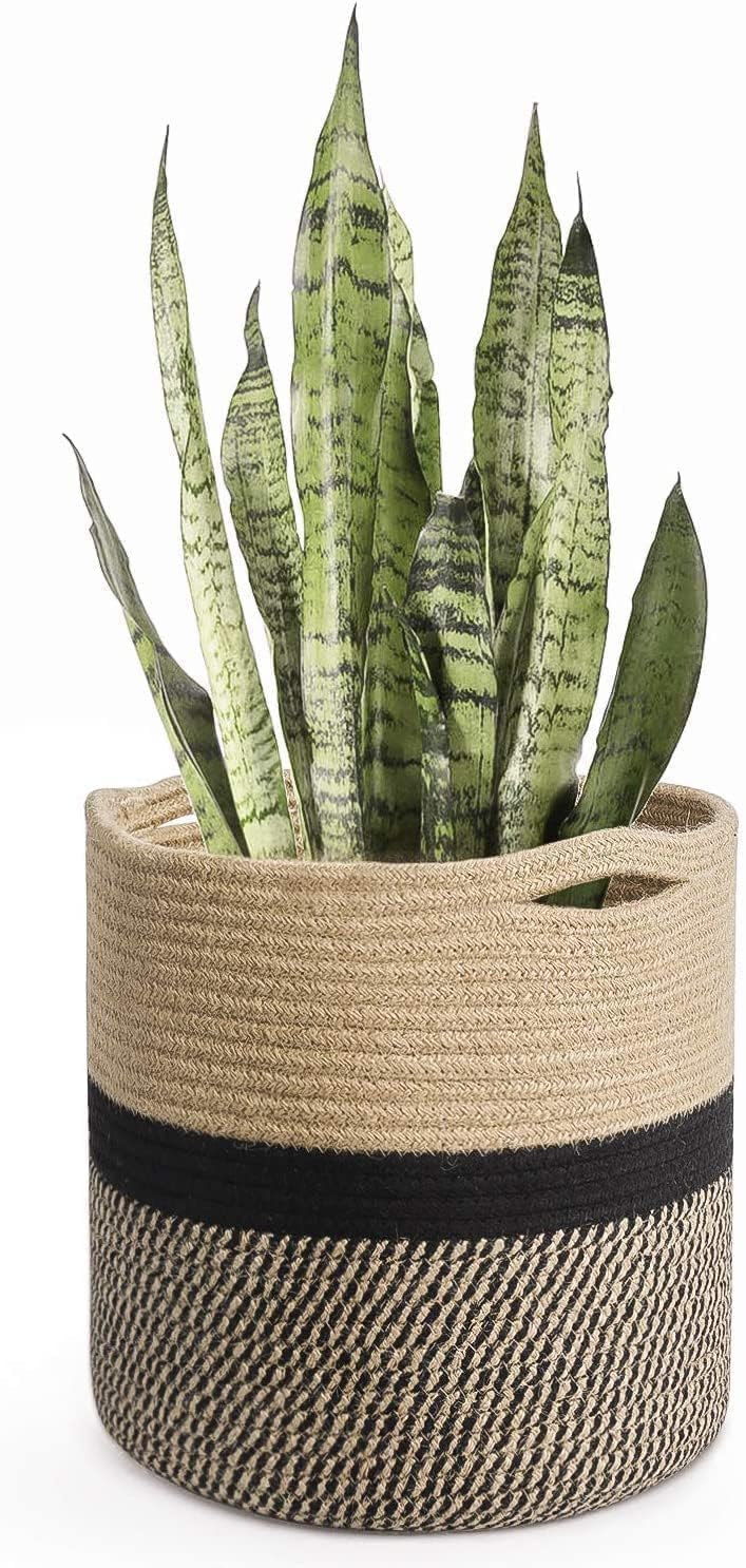 Moon Light Jute Cotton Planters Basket Ceramic Finish Flower Plant Pots Modern Decorative Gardening Pot (10 x 10 inch) Color Mix (B0D2RYKXX1) Amazon Price History, Amazon Price Tracker