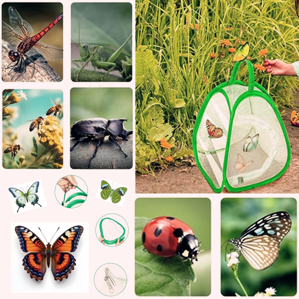 Farfalle Habitat - Gabbia a rete per bambini, 2 pezzi di insetto e farfalla