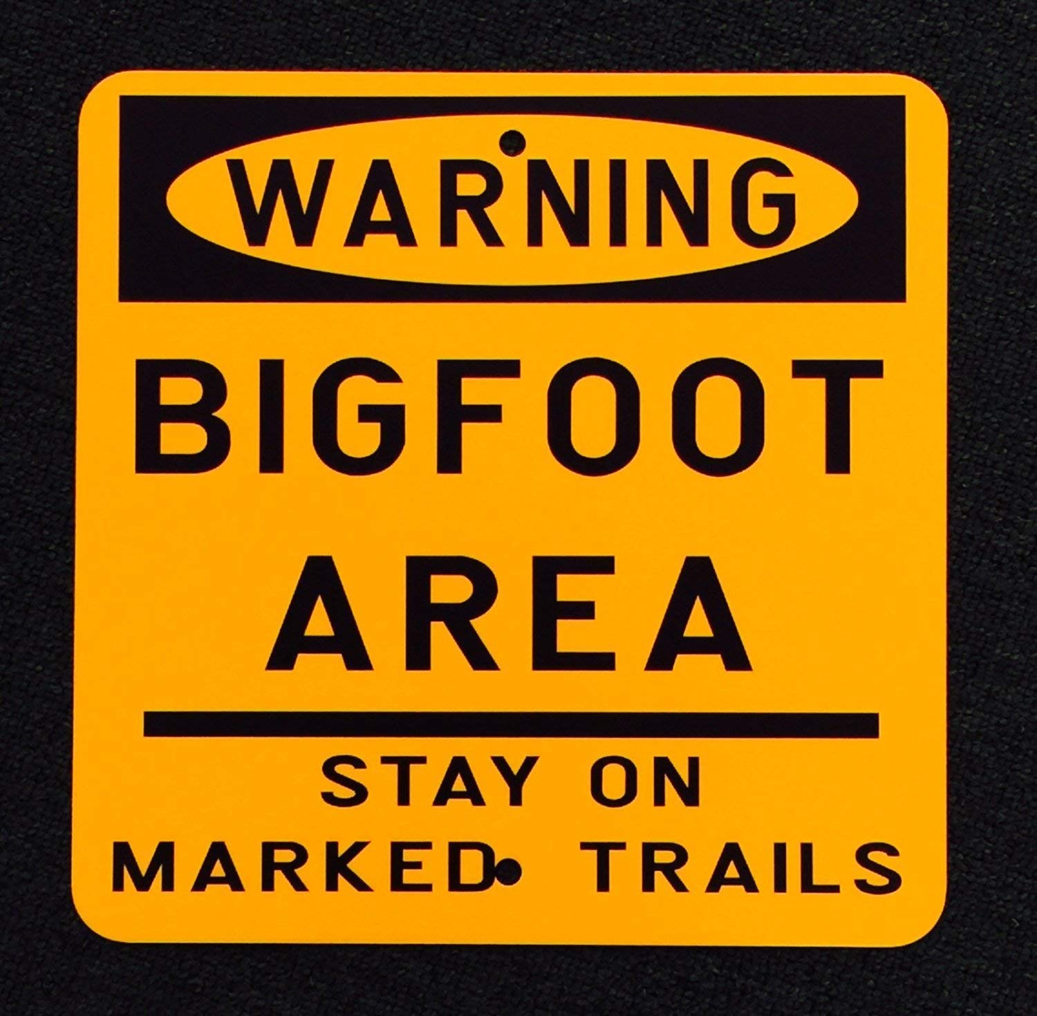 A Homim Bigfoot Area Stay On Marked Trails 12 inch by 12 inch Metal Sign Finding Bigfoot Sasquatch Signs