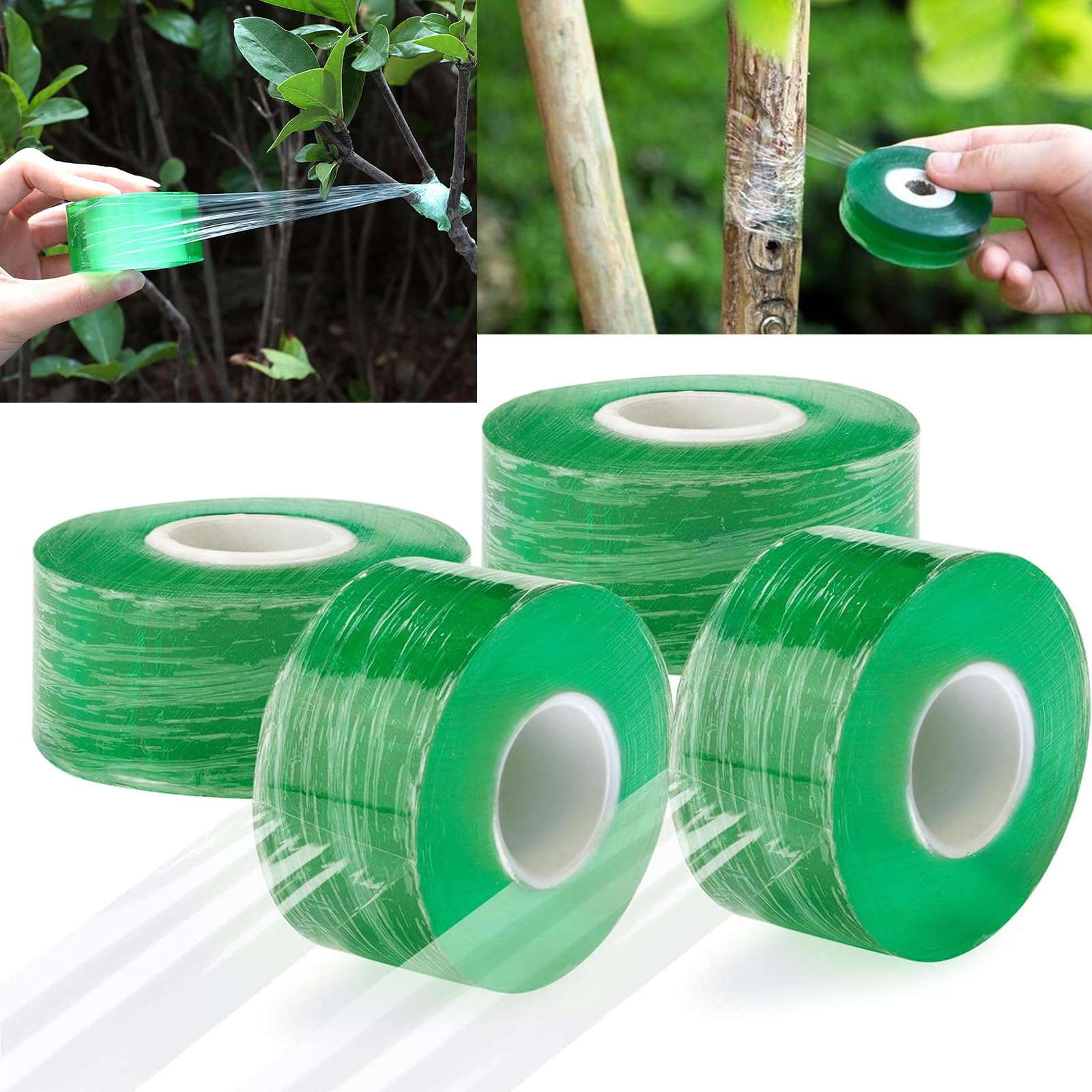 Nastro Per Innesto Piante - 4 Rotoli Da 100m X 3cm | Autoadesivo Biodegradabile Per Orto E Giardino - Foto 7