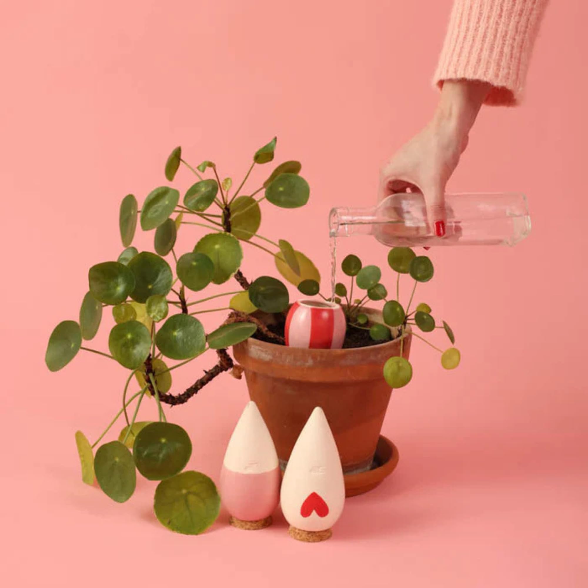 Pepin | 3X Mini Ollas | Oyas A Planter Terre Cuite | Arrosage Automatique et Ecologique pour Plante d'Intérieur et d'Extérieur | Système d'Irrigation Naturel | Mini Oyas Terracotta - 12cl Rose/Rouge