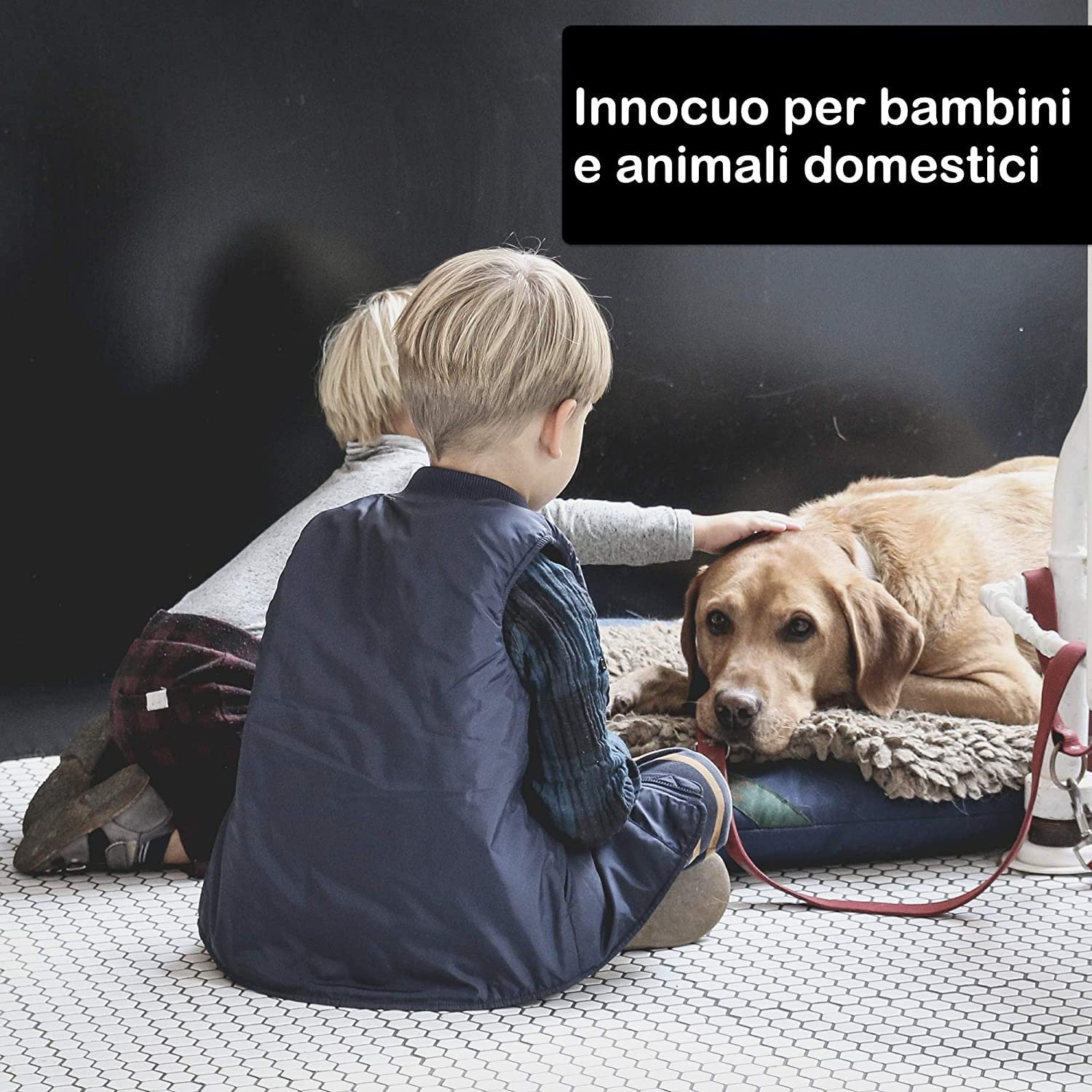 FUMIGANTE iNSETTICIDA antitarlo DURACID antitarlo per legno insettivida per insetti volanti e striscianti PROMO 2 x 27 gr