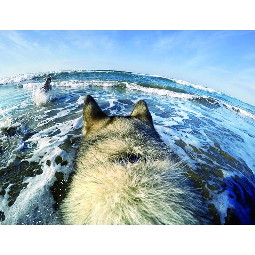 Misppro Halterung Für DJI Osmo Gimbal - Haustier Gurt Für Hunde 7-54kg, Wasserfest