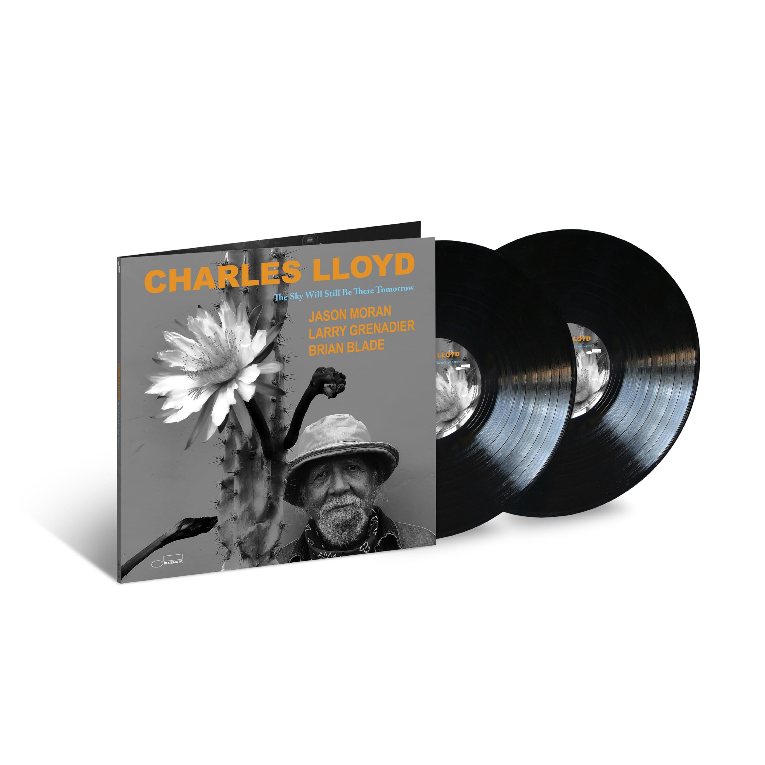 The Sky Will Still Be There Tomorrow [VINYL]