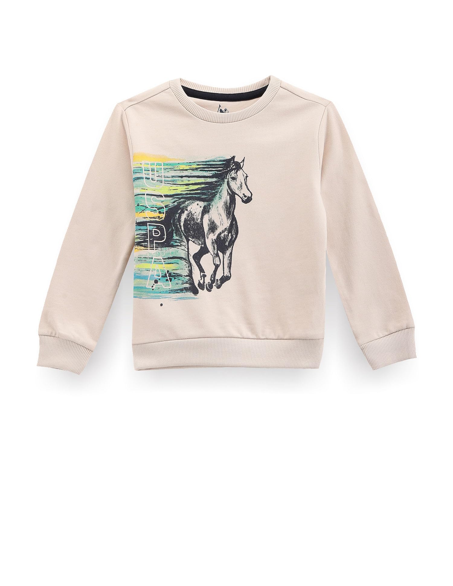 U.S. Polo Assn. Kids Regular fit Cotton Crew Neck Sweatshirts-picture-24