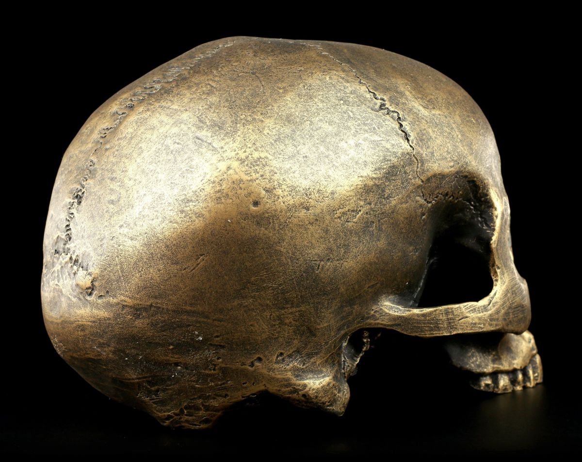 Tête de mort sans mâchoire inférieure - Or vieilli - Figurine de crâne gothique - Décoration