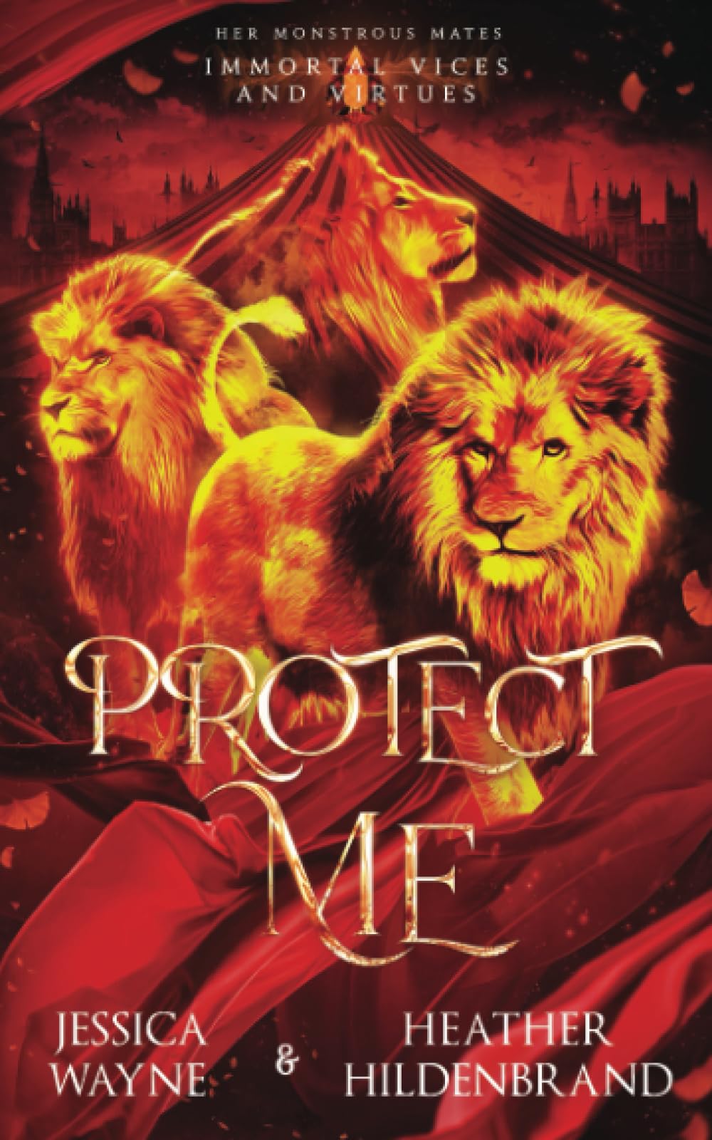 Cover of Protect Me