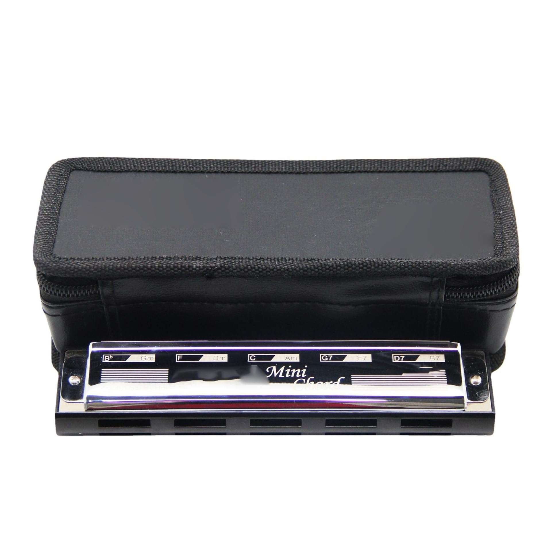 Armonica Blues Armonica A Bocca Mini Chord Ensemble (5 Fori) | Armonica a armonica Mini Chord Ensemble (5 fori) per adulti e principianti - Strumento a fiato