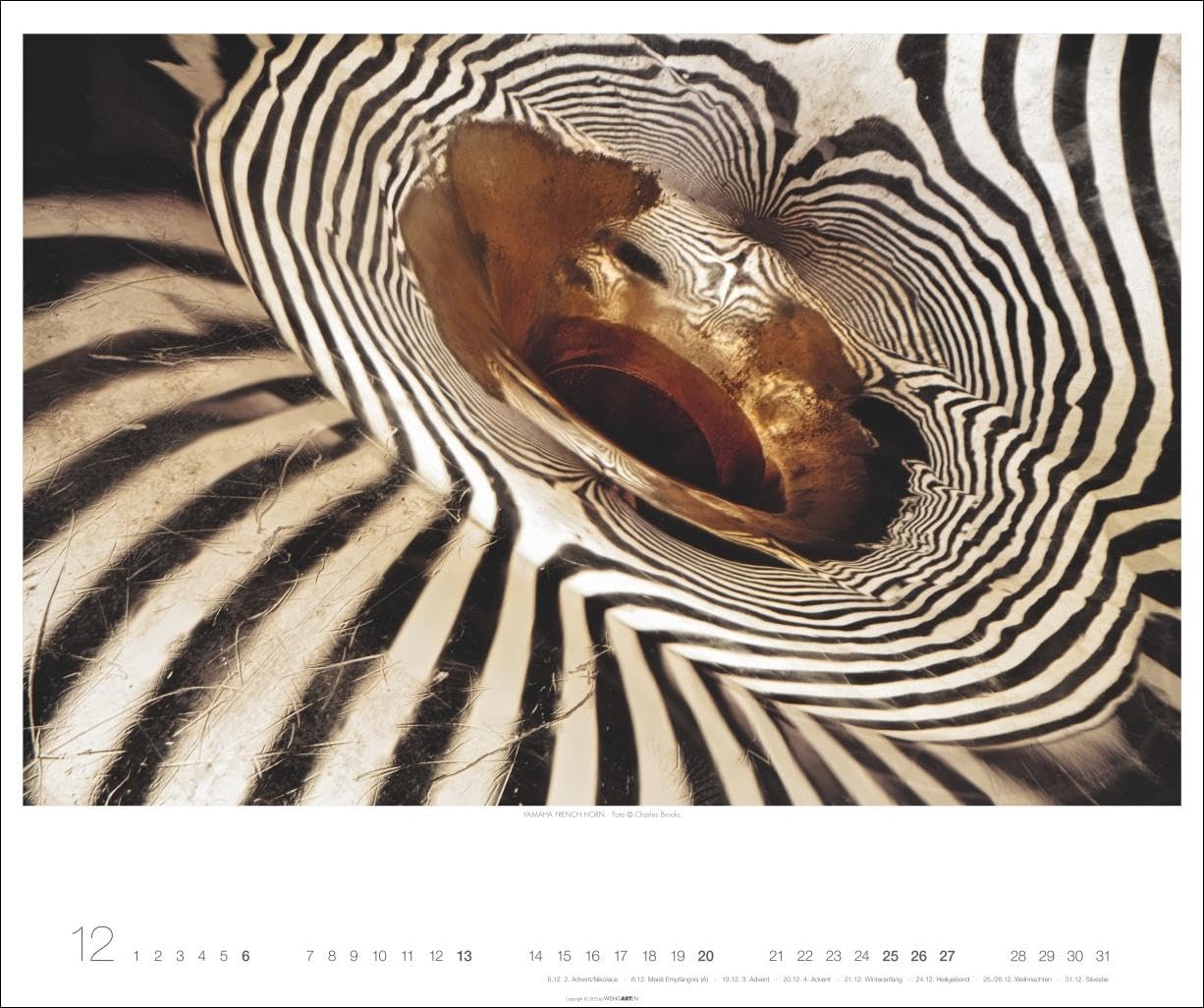 Architecture in Music Kalender 2026 - Musikinstrumente von innen: Charles Brooks‘ Fotokunst in einem großen Wandkalender, der neue Perspektiven eröffnet. Querformat 55 x 46 cm